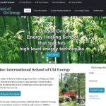 School of Chi Energy