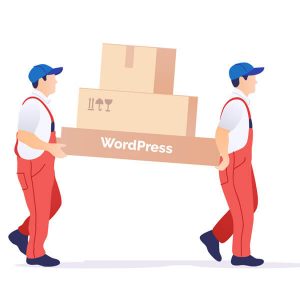 Website Migration Service